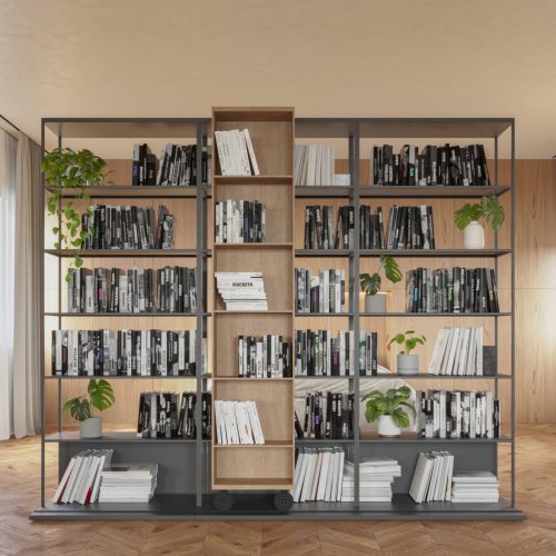 Punt-Literatura-Open-Vicent-Martinez-Bookshelf-13